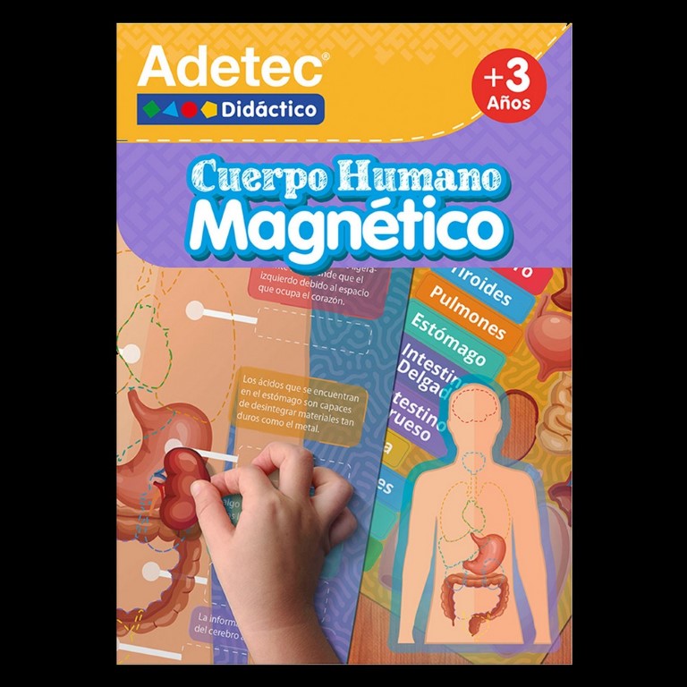 Cuerpo humano magnetico