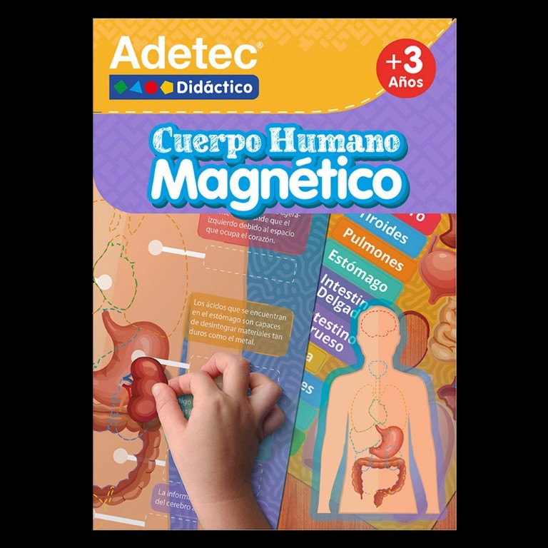 Adetec - LÁMINAS MAGNÉTICAS CUERPO HUMANO